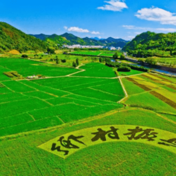 国家发改委：2022年中央财政衔接推进乡村振兴补助资金增至1650亿元
