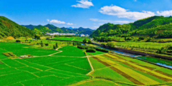 国家发改委：2022年中央财政衔接推进乡村振兴补助资金增至1650亿元